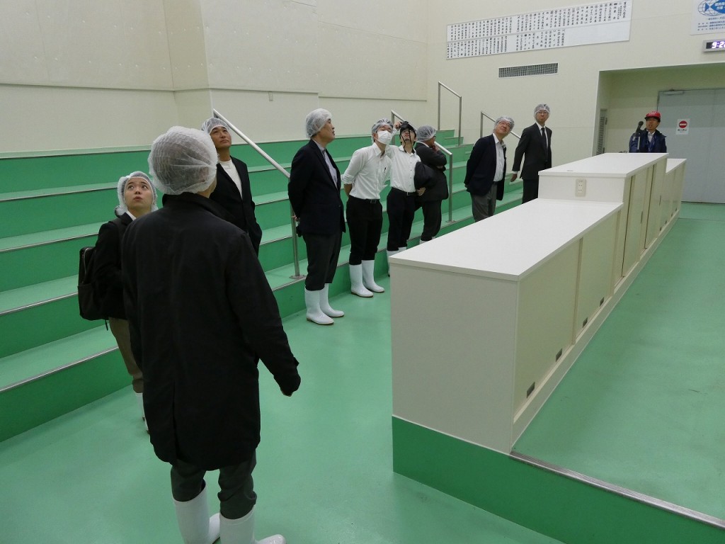 セリ場（水産物荷捌施設・人工地盤施設）