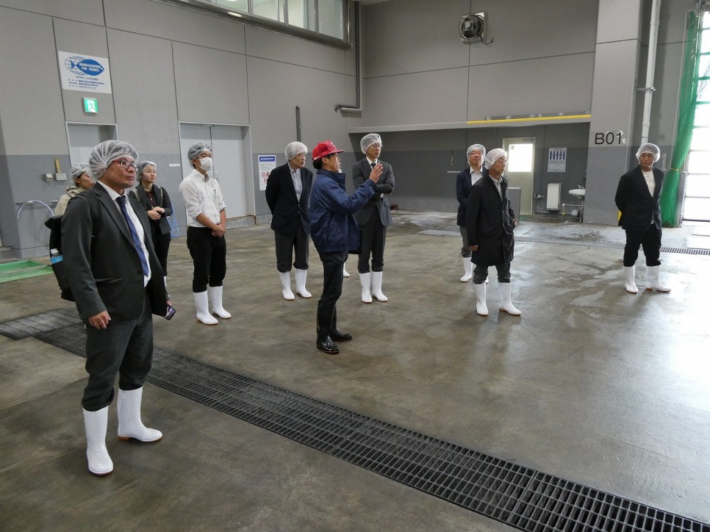 荷捌場（水産物荷捌施設・人工地盤施設）